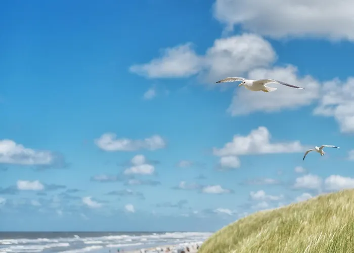 Arche Svea Fasan Апартаменты Шпикерог